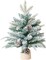 18 Inch Small Flocked Christmas Tree with Pine Cone Tabletop Decor